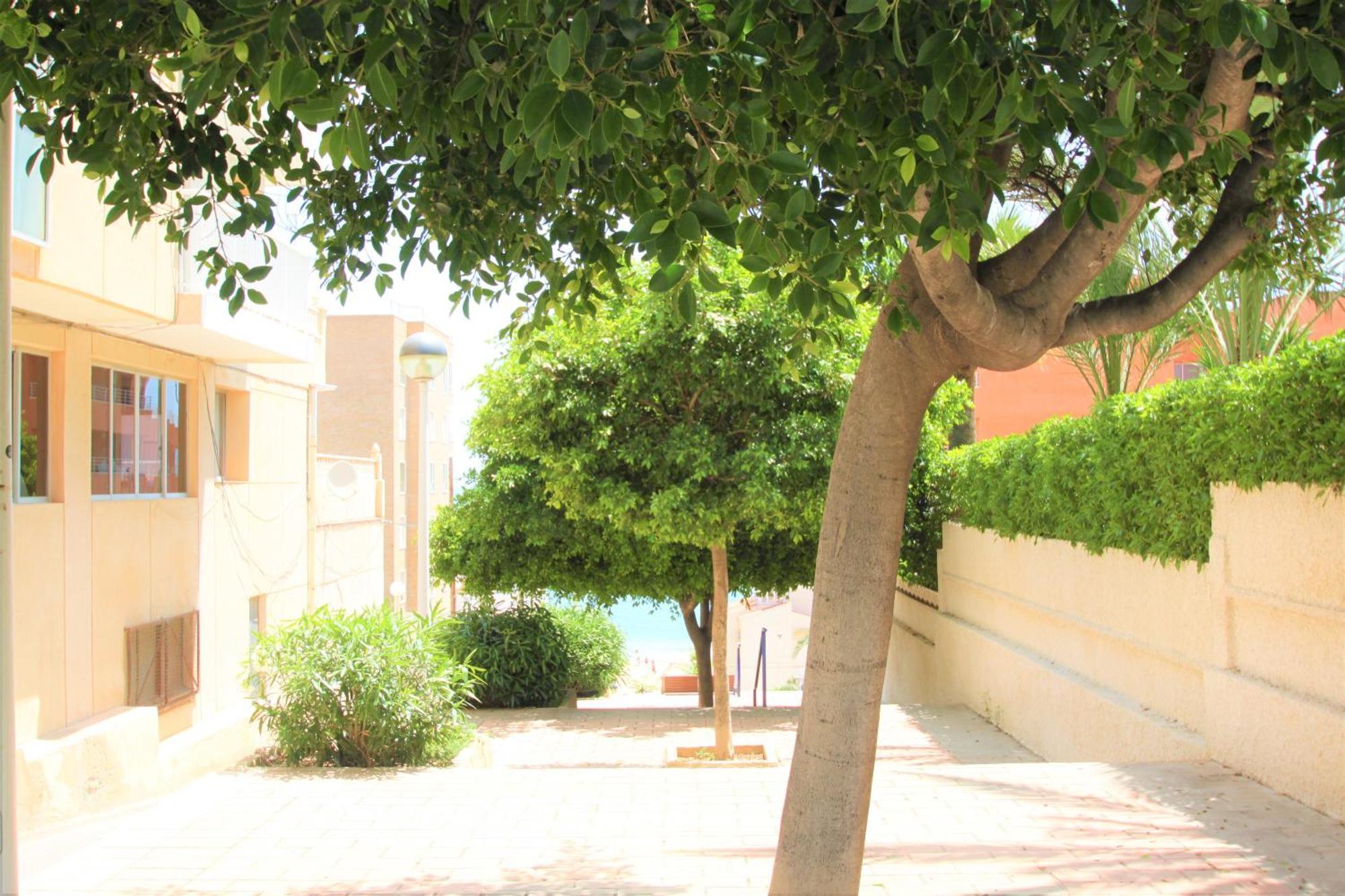 Apartamento Casaturis En Los Arenales Del Sol Ar102 Con Terraza Y Piscina Arenales del Sol Exterior foto